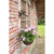 Hanging Basket Haak Gietijzer Vogel – Muurhaak in Geschenkdoos | Esschert Design