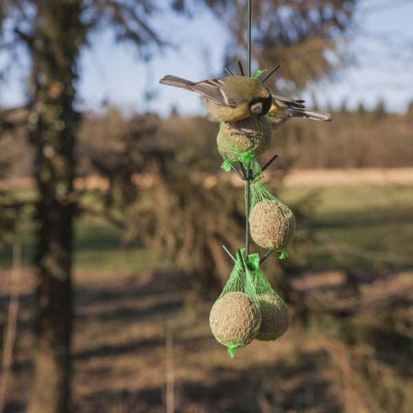 Vetbolhanger met Dakje voor 6 Vetbollen – Vogelvoeder | Esschert Design