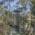 Vogelvoeder zaadsilo anti-eekhoorn