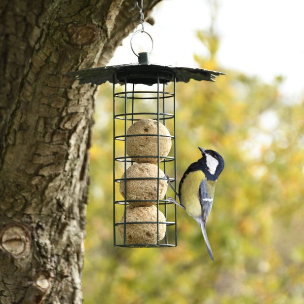 Vetbollenautomaat met bladerdak