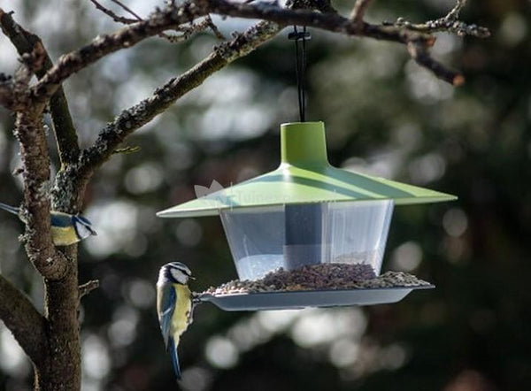 Voederhuis Finch Olijfgroen