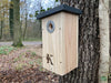 Koolmees Nestkast Douglashout RVS 32mm | Kooprijk