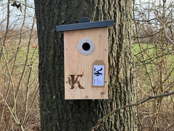 Pimpelmees Nestkast Douglashout RVS 29mm | Kooprijk
