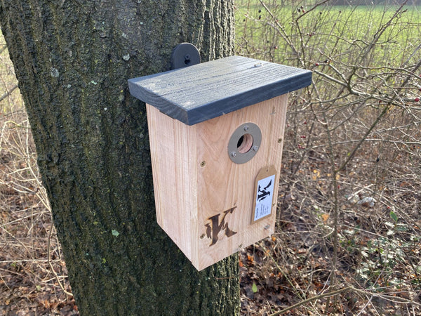 Pimpelmees Nestkast Douglashout RVS 29mm | Kooprijk