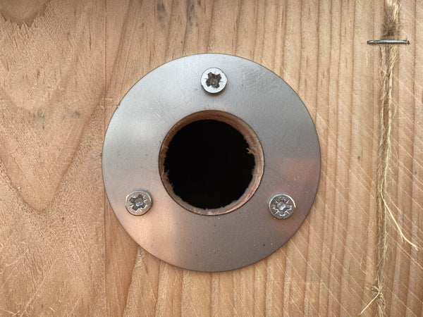 Kooprijk - Pimpelmees