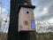 CaptureWILD - Pimpelmees