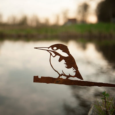 Birdwise