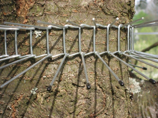Kattengordel gemonteerd om boom