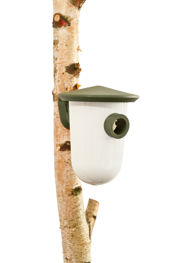 SingingFriend - breedR wild groen