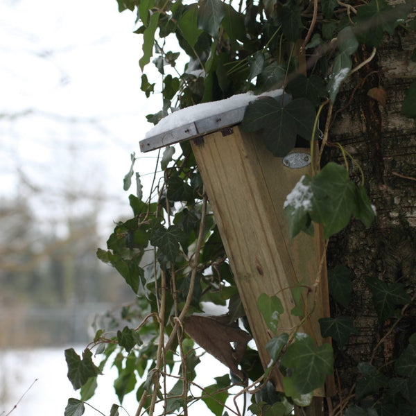 Boomkruiper Nestkast FSC-hout Zij-ingang | Esschert Design – foto 4