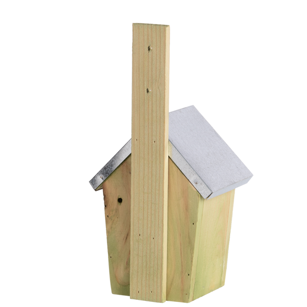 Winterkoning Nestkast 30mm Bodemopening | Esschert Design – foto 2