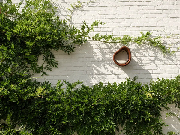 Organic vogelvoeder kastanje bruin – vogelvoerhuisje & vogelbad voor tuin & balkon | Duurzaam gerecycled kunststof & weerbestendig