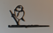 Birdwise - Pimpelmees