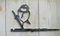 Birdwise - Pimpelmees