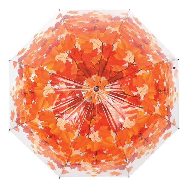 Paraplu boomkroon herfst