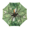 Paraplu boomkroon