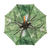Paraplu boomkroon