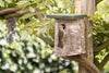 Berken Nestkast 34mm – in de tuin