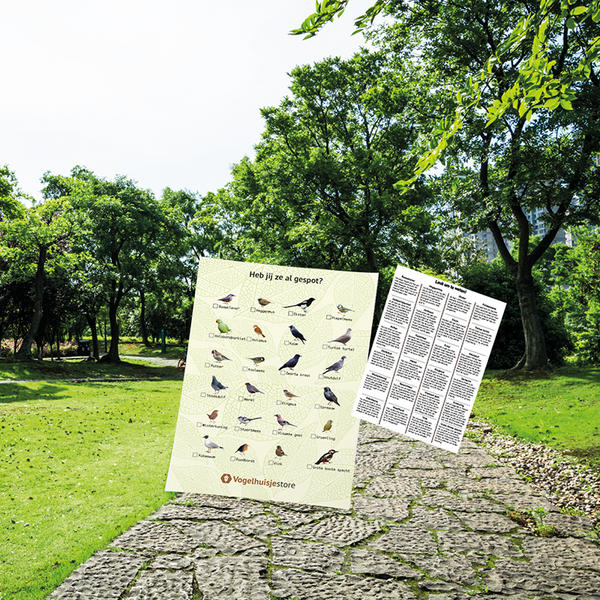 Vogel Afstreep-Poster A3 – Vogels Spotten voor het Raam | Inevo – foto 3
