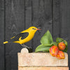 DecoBird Wielewaal