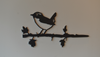 Birdwise - Winterkoning