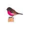 DecoBird Zwart-roze Vliegenvanger