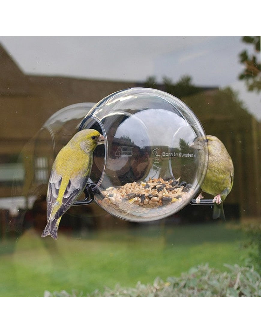 Praten medley toeter Birdfeeder raamvoederhuisje– Vogelhuisjestore