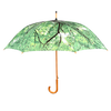 Paraplu boomkroon
